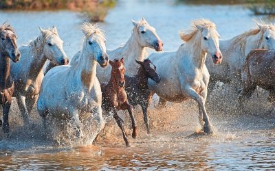 adobestock_102826794
